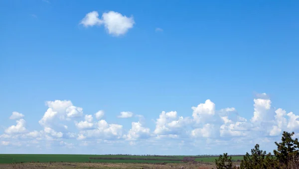 Blauwe Lucht Wolken Achtergrond Landschap Zonnig Dsy Panoramische Samenstelling — Stockfoto