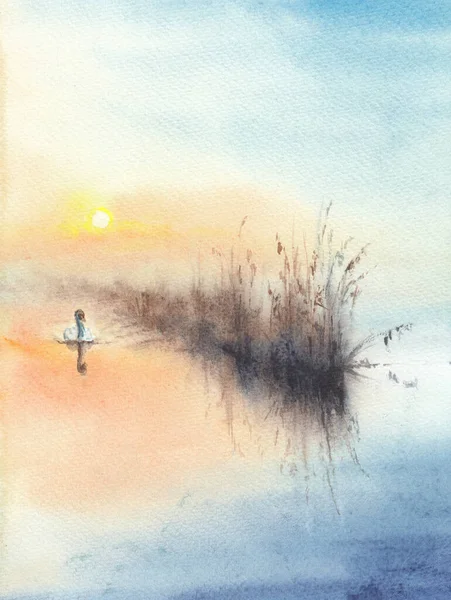 Seen Oder Flusslandschaft Mit Wasserszene Sonnenaufgang Und Einsamem Schwan Handgezeichnete — Stockfoto