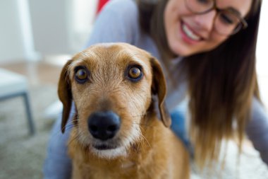 Evde köpekle oynayan güzel genç bir kadın..