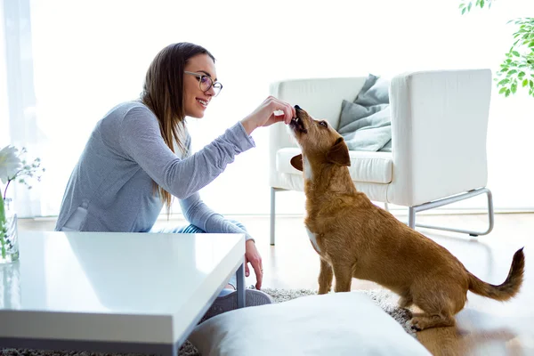 Mulher bonita com cão brincando em casa. — Fotografia de Stock