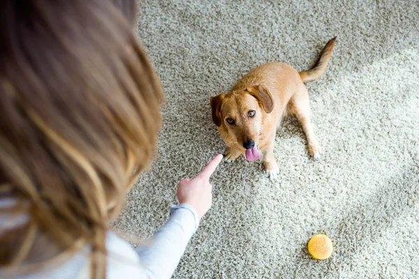 Wanita muda cantik dengan anjing bermain di rumah. — Stok Foto