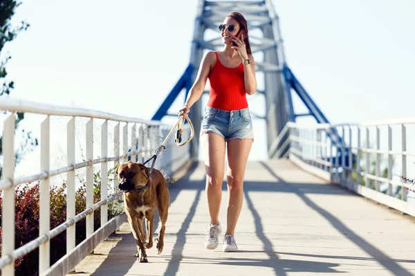 아름 다운 젊은 여자와 그녀의 강아지는 str에 휴대 전화를 사용 하 여 — 스톡 사진