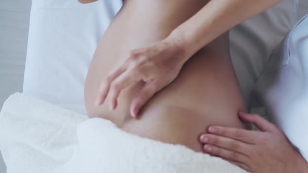 美丽的年轻理疗师妇女在家中的担架上按摩孕妇腹部的视频 — 图库视频影像