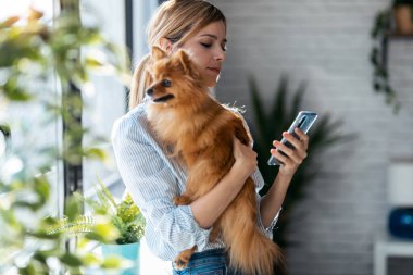 Güzel genç bir kadının, küçük sevimli köpeğini pencerenin yanında tutarken cep telefonuyla mesaj göndermesi..