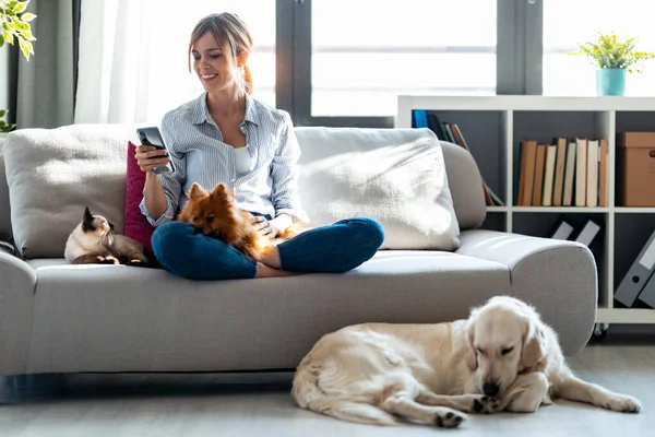 Evde Kedi Köpekleriyle Kanepede Otururken Cep Telefonu Kullanan Çekici Bir — Stok fotoğraf