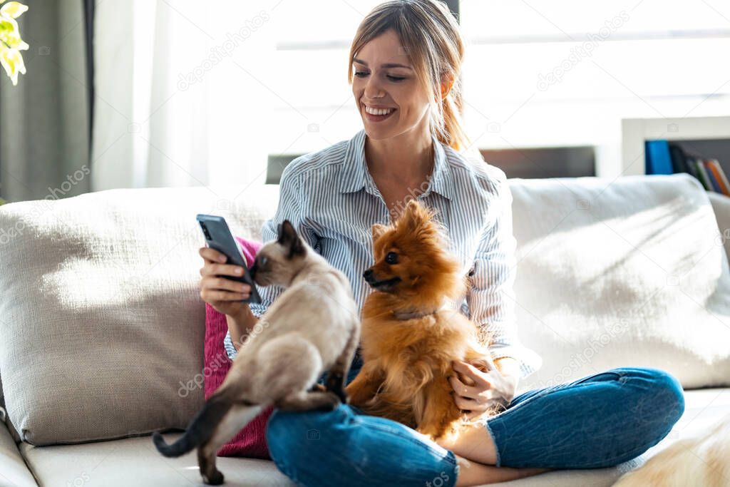 Shot of beautiful young woman playing with her cute dog and cat while using mobile phone sitting on couch in living room at home.