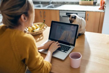 Gülümseyen sahibi evdeki mutfakta dizüstü bilgisayarla çalışırken sevimli kedisinin masada oynaması..