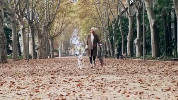 Video Beautiful Young Girl Riding Bike While Walking Her Dog — Stock Video