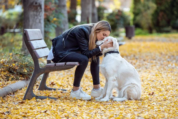 Parkta Bankta Otururken Güzel Golden Retriever Köpeğiyle Öpüşen Oynayan Çekici — Stok fotoğraf