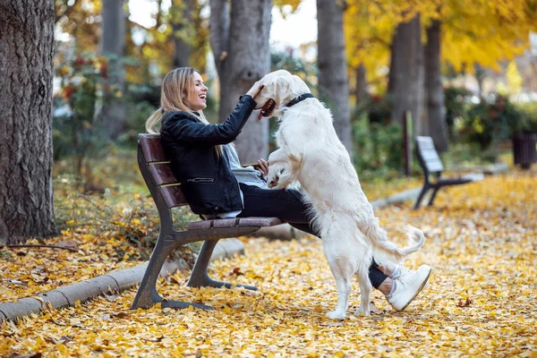 在公园的长椅上与漂亮的金发碧眼的猎犬玩耍时被吸引的年轻女子开枪击中 — 图库照片