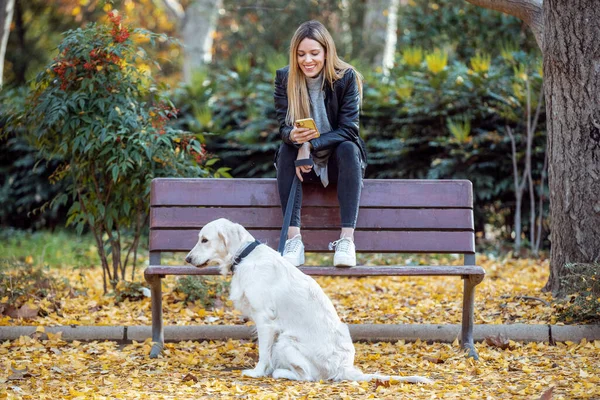 在公园里与可爱的小狗坐在长椅上 一个迷人的年轻女子用她的智能手机发短信时被枪击中 — 图库照片