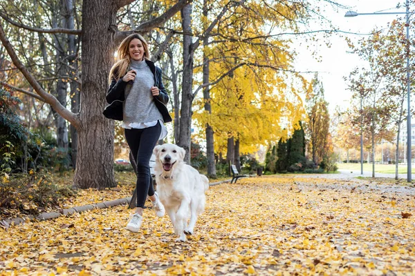 Ditembak Cantik Wanita Muda Berjalan Dengan Anjing Cantik Retriever Emasnya — Stok Foto