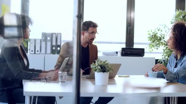 Wideo Dorywczo Multiage Ludzi Biznesu Pracujących Laptopami Podczas Rozmowy Nowym — Wideo stockowe