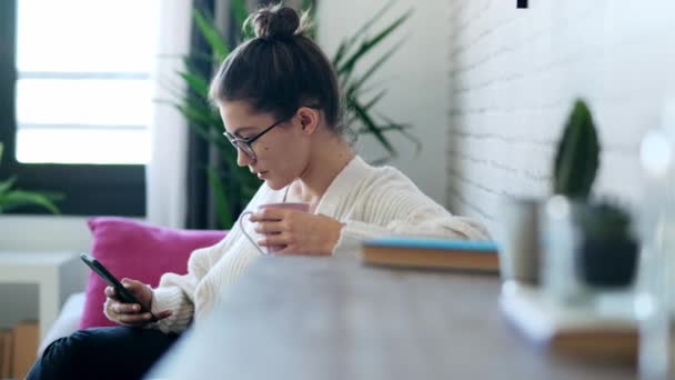 コーヒーを飲みながら携帯電話でメッセージを送る若い女性のビデオ家のソファに横たわって — ストック動画