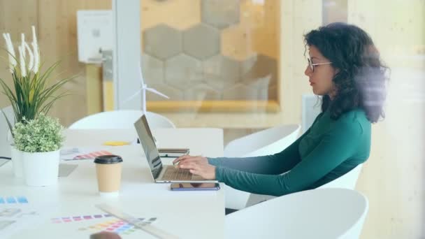 Video Roztomilé Designérky Obchodní Žena Pracující Notebookem Místě Spolupracuje — Stock video