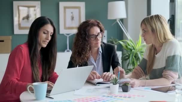 Video Del Grupo Mujeres Diseñadoras Multiedad Que Trabajan Proyecto Diseño — Vídeos de Stock