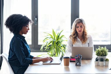 Modern başlangıçta dizüstü bilgisayarlarla çalışan çok ırklı iş kadınlarının fotoğrafları.