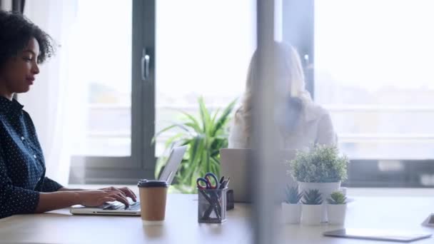 Wideo Dorywczo Wielonarodowych Kobiet Biznesu Pracujących Laptopami Podczas Cyny Nowoczesny — Wideo stockowe