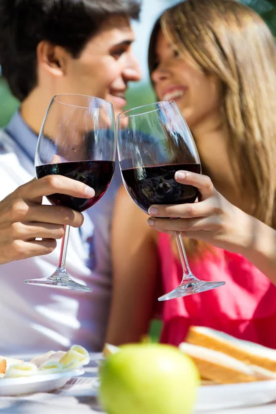 Attraente coppia bere vino sul picnic romantico in campagnad — Foto Stock