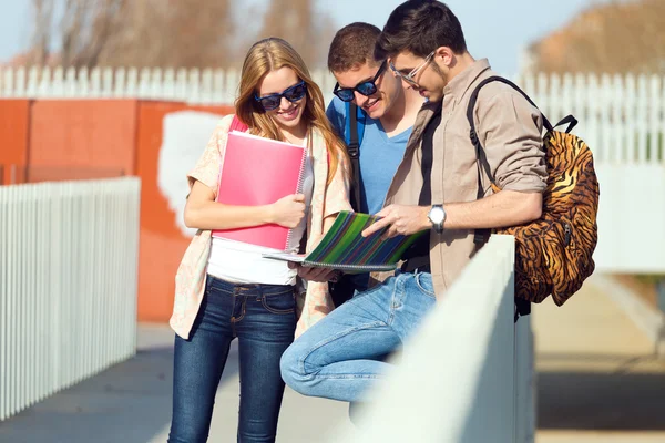 Eine Gruppe von Freunden, die sich nach dem Unterricht auf der Straße unterhalten. — Stockfoto