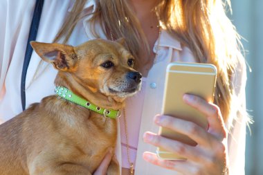 Cep telefonu kullaranarak köpeğini olan güzel kadın.