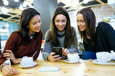 Üç genç güzel kadın cep telefonuyla kafe dükkanında.