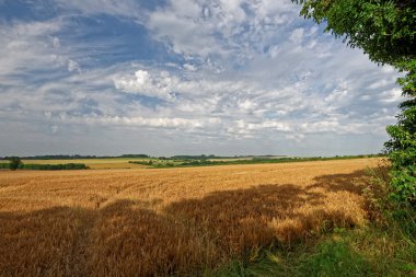 Lincolnshire Wolds tarım arazileri, İngiltere