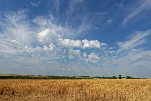 Lincolnshire Wolds landbouwgrond, Verenigd Koninkrijk — Stockfoto