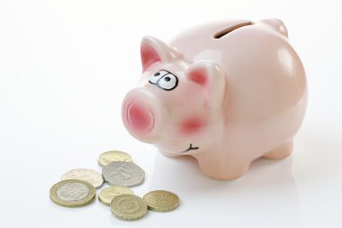 roze spaarvarken met geld