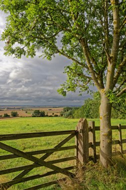 Lincolnshire MDBF, İngiltere