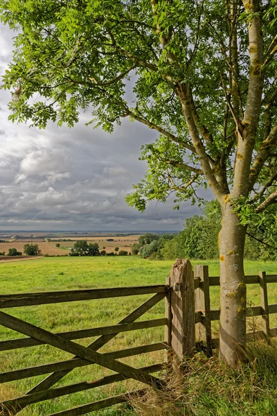 Lincolnshire Fens, Reino Unido Fotografia De Stock