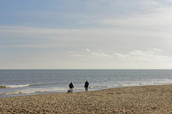 Personas Identificadas Paseando Perros Una Playa Reino Unido —  Fotos de Stock