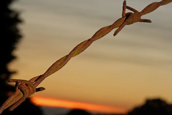 Grenze aus Stacheldraht bei Sonnenuntergang — Stockfoto