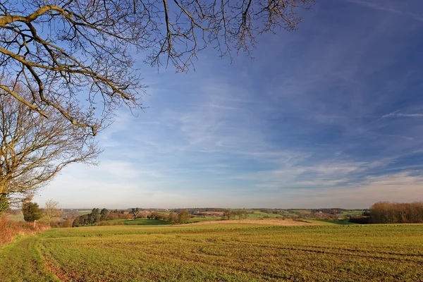 Stour Valley, Verenigd Koninkrijk, in de Winter — Stockfoto