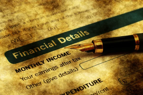 FInancial details on credit form — Stock Photo, Image