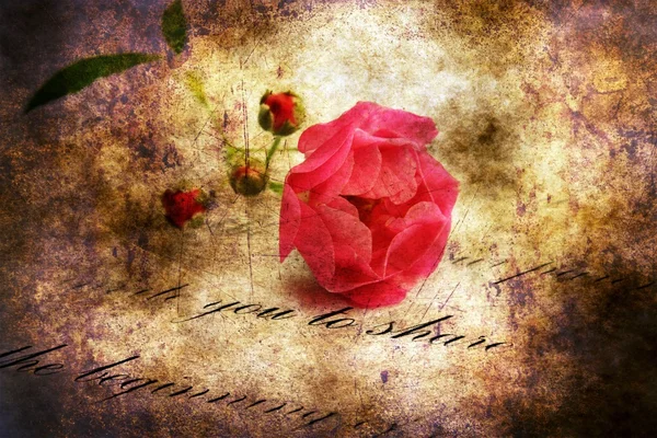 Lettera d'amore e rosa — Foto Stock