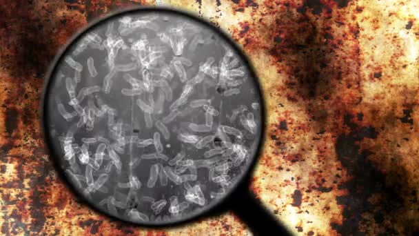 表面上の細菌を探す — ストック動画