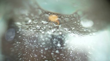 Sıvı bir makro çekim sahasının yüzeysel derinliğinde kabarcıklar