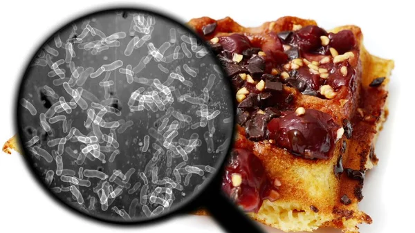 Searching for bacteria in cherry pie