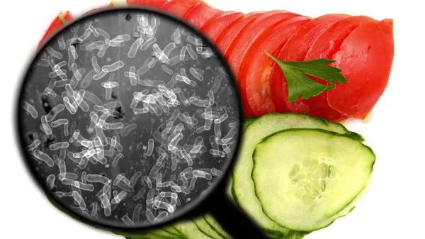 Sebzelerde Bakteri Aranıyor — Stok fotoğraf