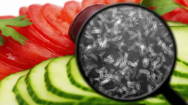 Searching Bacteria Vegetables — Stock Photo, Image