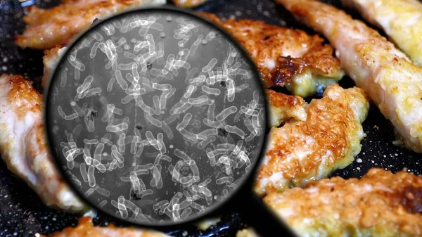 Auf Der Suche Nach Bakterien Hühnerfleisch — Stockfoto