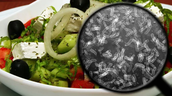 寻找蔬菜中的细菌 — 图库照片