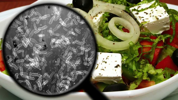 Searching Bacteria Vegetables — Stock Photo, Image