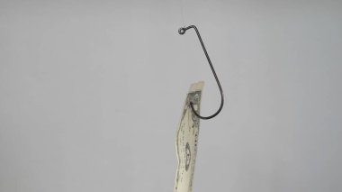 Beyaz arka planda izole edilmiş Oltaya Bir Dolar