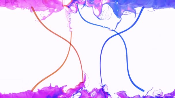 Абстрактная разноцветная пайнт-брызга, испарившаяся на белом — стоковое видео