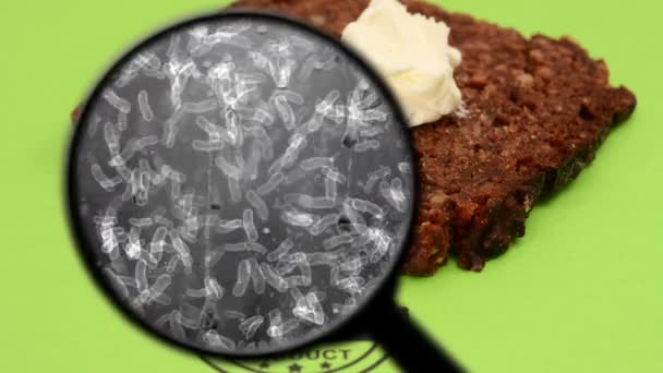 Поиск бактерий в хлебе — стоковое видео