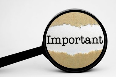 önemli arama kavramı