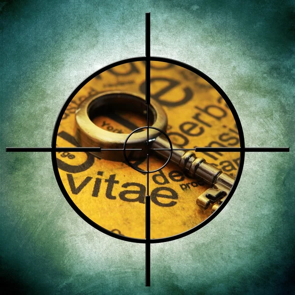 Vitae target concept — Stock Photo, Image
