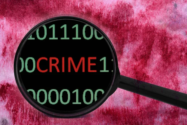 Web crime — Stock Photo, Image